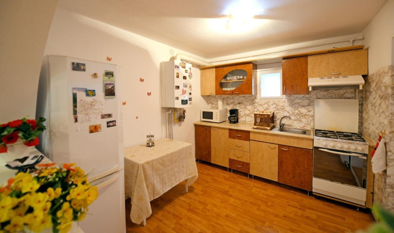 Casa Mirandre Διαμέρισμα Haţeg Εξωτερικό φωτογραφία