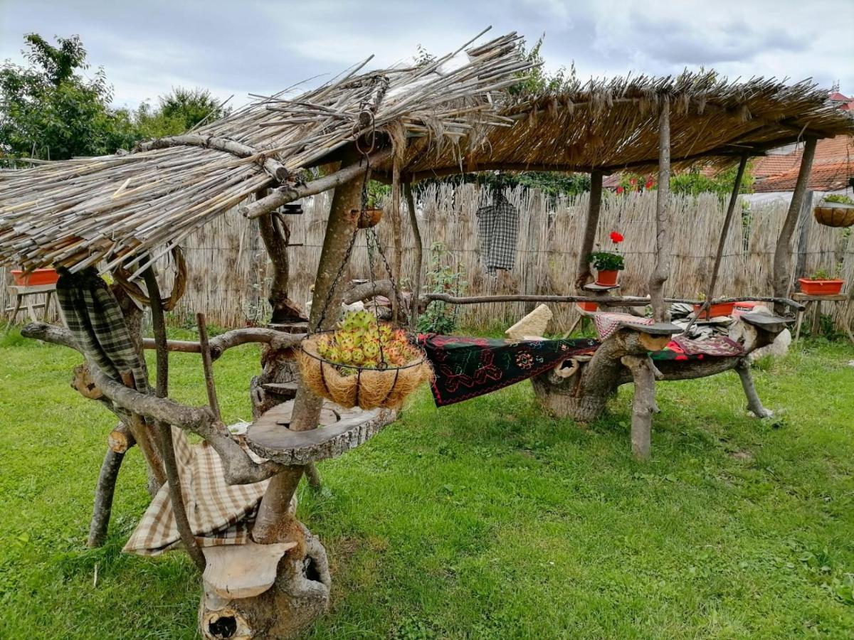Casa Mirandre Διαμέρισμα Haţeg Εξωτερικό φωτογραφία